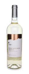 Feudi Salentini Terra Malvasia Bianca del Salento /12,5% /0,75l