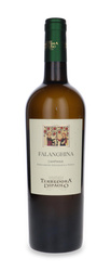 Terredora Falanghina Campania 2024 /13% / 0,75l