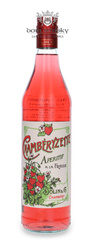 Dolin Chamberyzette Strawberry Aperitif / 16% / 0.75l