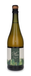 Cydr Chyliczki Stary Sad 2024 / 8% / 0,75l