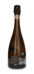 Segura Viudas Brut Vintage 2022 / 12% / 0,75l