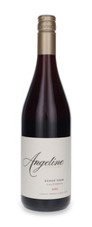 Angeline Pinot Noir 2022 / 13.8% / 0.75 L