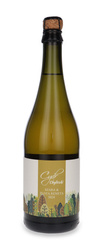 Cydr Chyliczki Szara & Złota Reneta 2024 / 8,4% / 0,75l