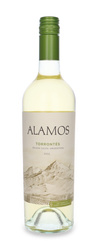Alamos Torrontes Cafayate/Salta