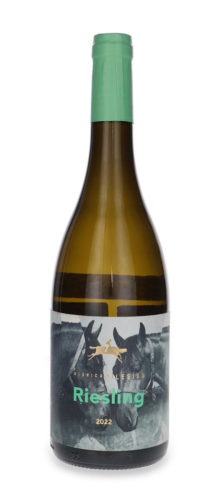 Silesian Riesling / 13% / 0,75l