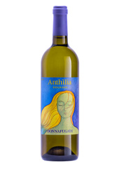 Donnafugata Anthilia Sicilia DOC 2024 / 12,5% / 0,75l
