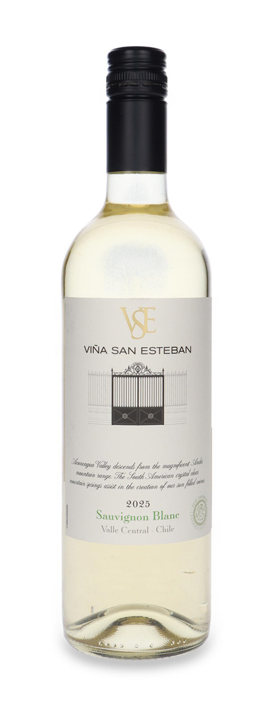 Viña San Esteban Sauvignon Blanc 2025 /13%/0,75l