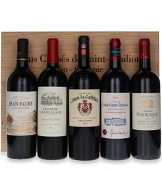 Saint Emilion Collection 5 Crus Bio - Organic / 5 x 0,75l