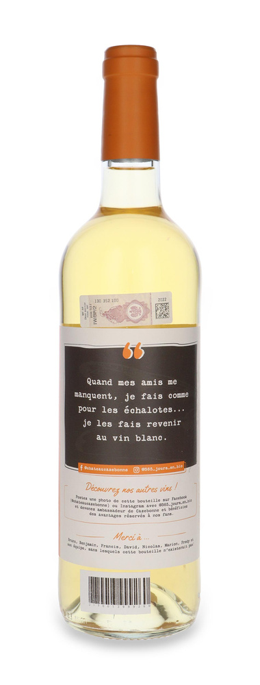 Chateau Cazebonne Entre Amis Graves 2019 /12,5% / 0,75l