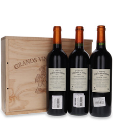 Chateau Petit Faurie de Soutard 2010 Saint-Emilion Grand Cru (Grand Cru Classe)/15,5% /0,75l