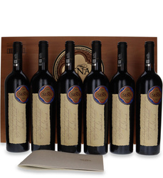 Sena 2009 Aconcagua Valley /14,5% /0,75l